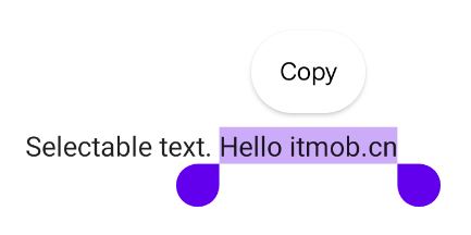 Selectable Text
