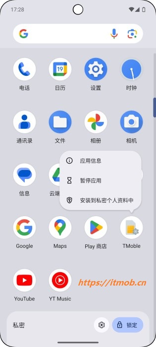 Install private app from main space